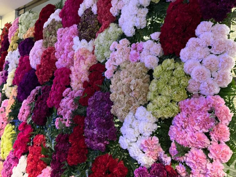 Flores frescas y perspectivas renovadas: la visión de las nuevas